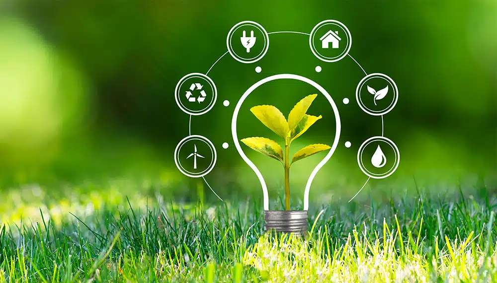 greenwashing