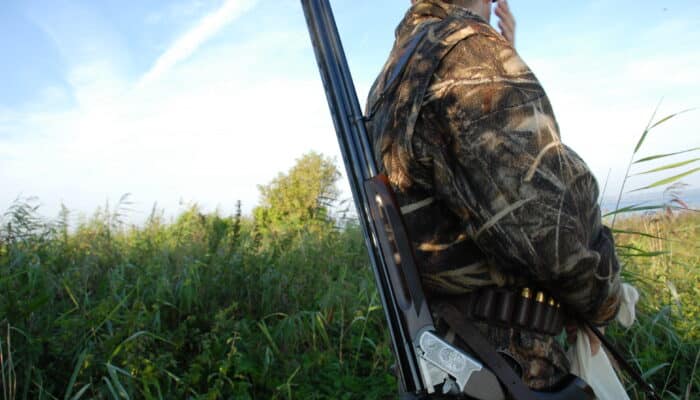 Vanvidskørsel og vandelsgodkendelse